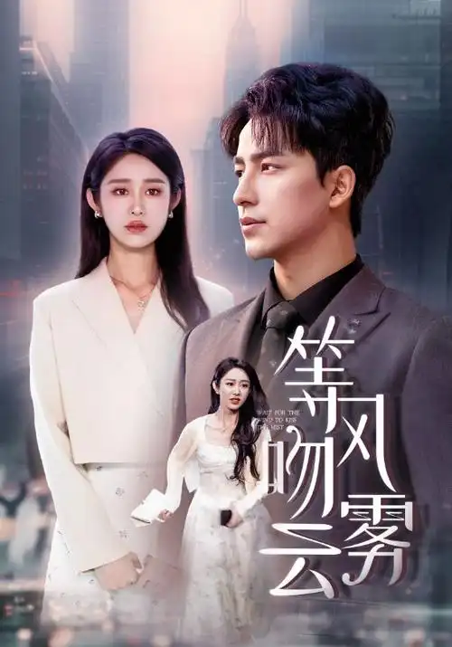 妻子的秘密账本短剧海报